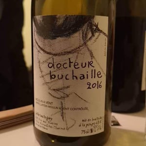 Docteur Buchaille - Julie Balagny - julie-balagny