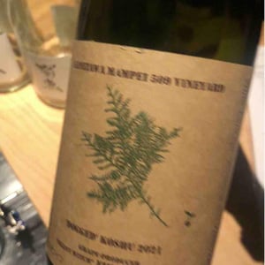 Dogged Koshu - Yellow Magic Winery - Sumito Iwaya -2021