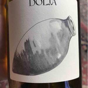 Dolia - Clos du Tue-Bœuf - zoe-louise-thierry-puzelat -2020