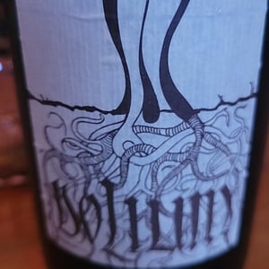 Dolium - Vinarstvo Zorjan - marija-bozidar-zorjan