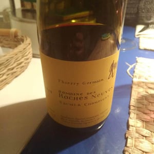 Domaine des Roches Neuves - Domaine des Roches Neuves - Thierry et Louis Germain 