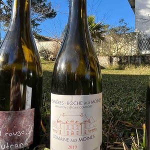 Domaine aux Moines - Monique & Tessa Laroche - Domaine Aux Moines