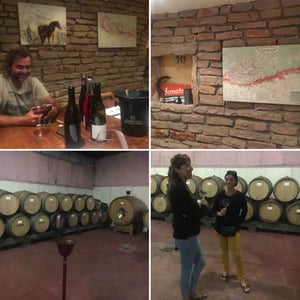 Domaine Ballorin & F 17 - 