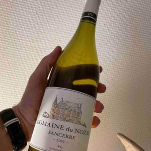 Domaine Du Nozay - Domaine Du Nozay - Cyril de Benoist 