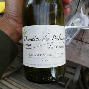 Domaine Des Baluettes - Domaine Des Baluettes - daniel-maribe