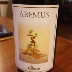 Domaine di Coccirotti Habemus - La Ginestra - Dario Nocci, Alessandro Bicchi & Matteo Rinaldi 