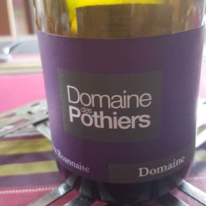 Domaine - Domaine des Pothiers - denise-georges-romain-paire