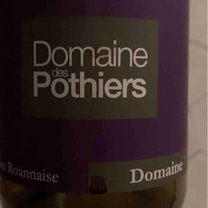 Domaine des Pothiers - Denise, Georges & Romain Paire - Domaine