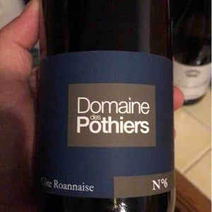 Domaine des Pothiers - Denise, Georges & Romain Paire - Domaine
