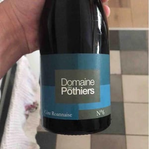 Domaine des Pothiers - Denise, Georges & Romain Paire - Domaine
