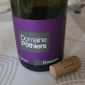 Domaine - Domaine des Pothiers - Denise, Georges & Romain Paire 