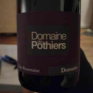 Domaine - Domaine des Pothiers - denise-georges-romain-paire