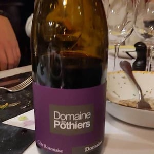 Domaine - Domaine des Pothiers - denise-georges-romain-paire
