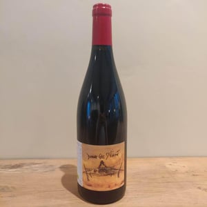 Domaine Grès Saint Vincent - Les Vignerons d'Estézargues - Les Vignerons d'Estézargues -2020