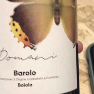 Domani Boiolo - Azieda Agricola Campàro - Mauro Drocco 