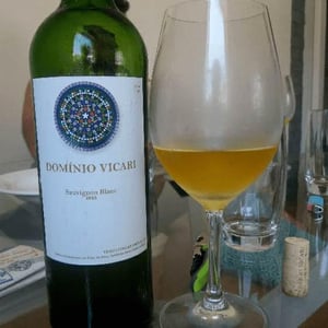 Dominio Vicari - Dominio Vicari - Lizete Vicari e José 