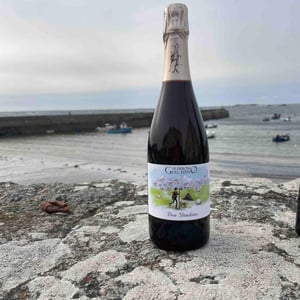 Don Giachino - Domaine Giachino - frederic-david-clement-giachino