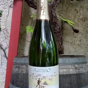 Don Giachino - Domaine Giachino - frederic-david-clement-giachino