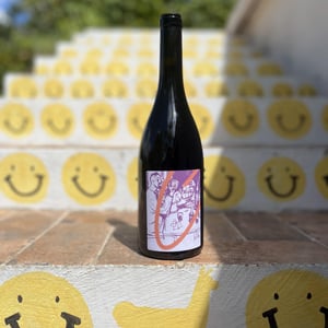 Don't tell Mama - PAP Wines - Aron Molnár & Karina Vissonova -2022