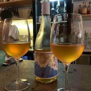 Doppelgänger - Brave New Wine - Yoko Luscher-Mostert & Andries Mostert 