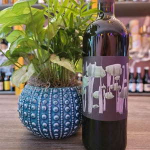 Doric Red - Dorian Wines - georgios-balatsouras
