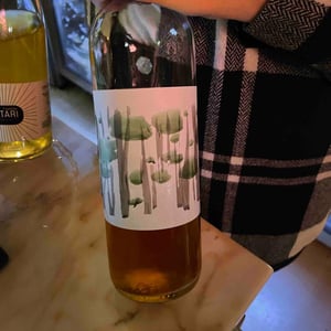 Doric White - Dorian Wines - Georgios Balatsouras 
