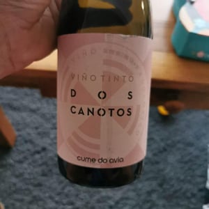 Dos Canotos - Cume Do Avia - diego-alvaro-collarte -2019