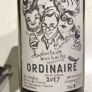 Dr Buchaille Featuring Ordinaire - Julie Balagny - Julie Balagny 