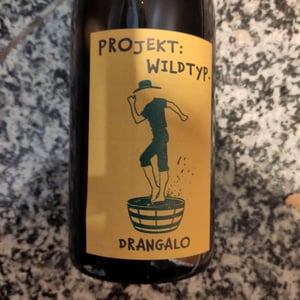 Drangalo - Projekt: Wildtyp - Boris Kovacic -2021
