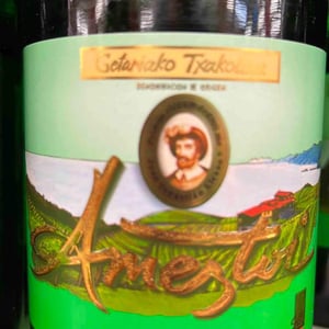 Ameztoi - Getaria - getariako-txakolina