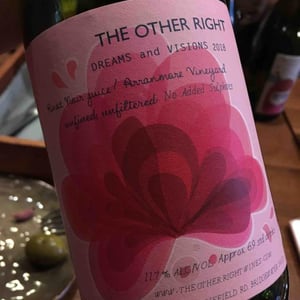 Dreams and Visions - The Other Right - alex-schulkin-galit-shachaf