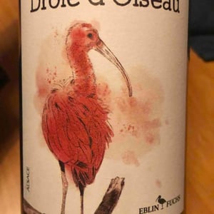 Drôle d’Oiseau - Domaine Eblin-Fuchs - laurence-leininger-christian-eblin -2021