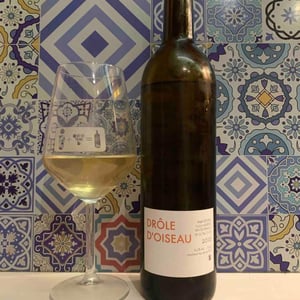 Drôle D’Oiseau 2017