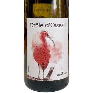 Drôle d’Oiseau - Domaine Eblin-Fuchs - laurence-leininger-christian-eblin -2021