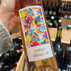 Drôles D’oiseaux - Domaine Des Seailles - jean-laberenne -2021