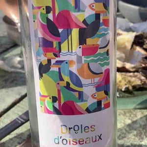 Drôles D’oiseaux - Domaine Des Seailles - Jean Labérenne -2021