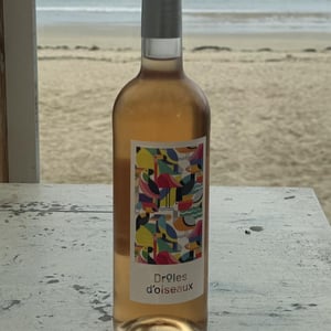 Drôles D’oiseaux - Domaine Des Seailles - jean-laberenne -2021