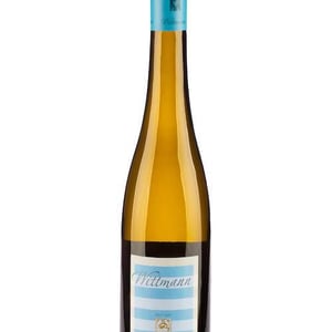 Riesling Trocken - Weingut Wittmann - Philipp Wittmann -2019