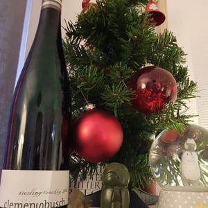 Riesling Trocken - Weingut Clemens Busch - clemens-rita-busch