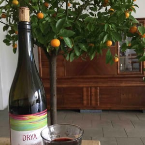 Domaine Inebriati - Victor Beau - Drya
