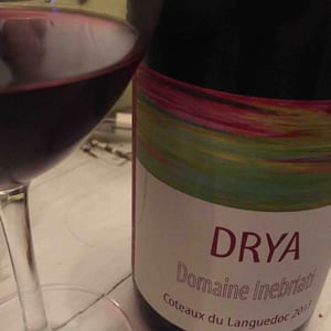 Domaine Inebriati - Victor Beau - Drya