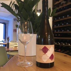 Paret Seca Xarel·lo - Paret Seca Vins - iva-gallego-santacana