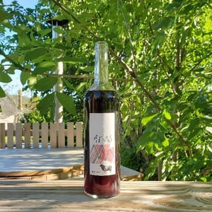 Dsoérdre - Domaine Arias - xoan-arias -2020