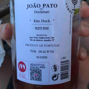 Duckman Kite Duck - João Pato (a.k.a. Duckman) - Maria and Luis Pato -2020
