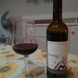 Duende - Bodega Cauzon - Ramón Saavedra 