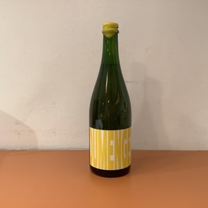The Garage Wine - Celler Dumenge - laia-esmel-oriol-roig-jaume-vilaseca