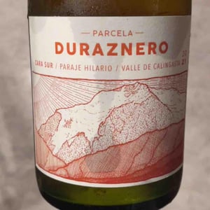 Duraznero - Argentina, San Juan - cara-sur -2024