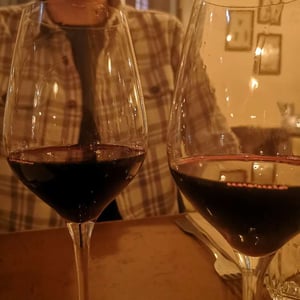 Le Bordeaux du Paysan - Château Gombaude-Guillot - Olivier Techer -2020