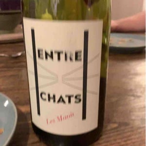 Les Maoù - Aurélie & Vincent Garreta - Entre Chats