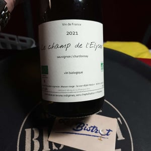 Le Champ De L’Elysee 2021